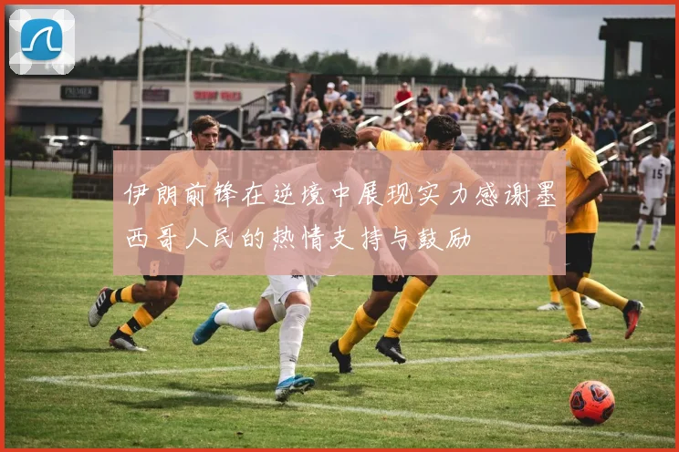 伊朗前锋在逆境中展现实力感谢墨西哥人民的热情支持与鼓励